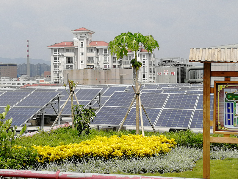 1753262046568710.jpg 1-210206133134a5.jpg