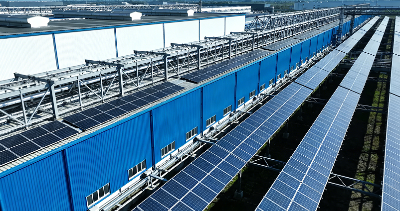 1773305051532801.png image.png