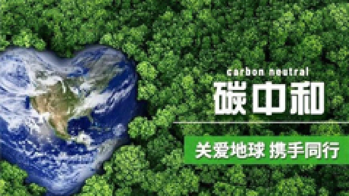 最高补贴1000万！政策红利激活光伏市场，厦门厂家抢占先机！