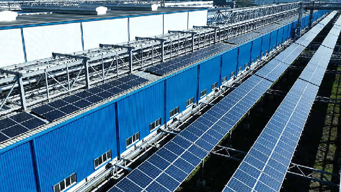 两会访谈：构建新型电力系统，需市场与政府协同发力